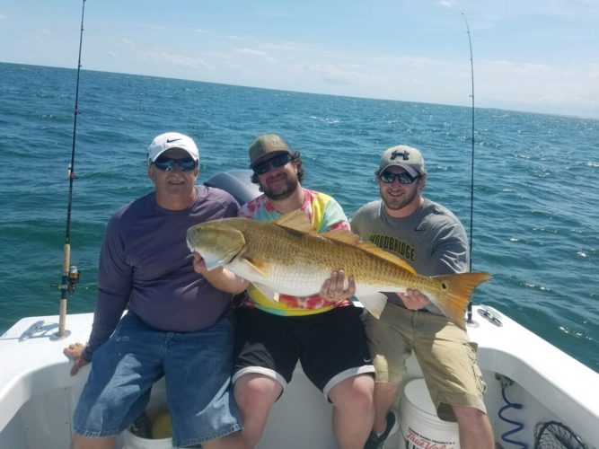 Fishing for drum an unforgettable experience
